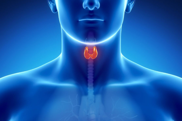 مراقبت های پرستاری غدد درون ریز